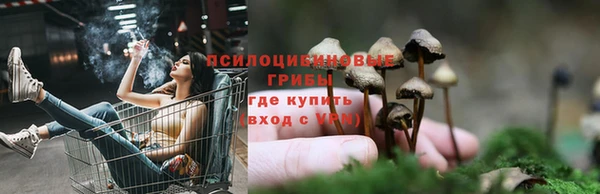 гашиш Балахна
